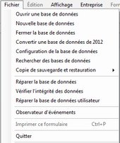 Menu-File-Enterprise-Fr