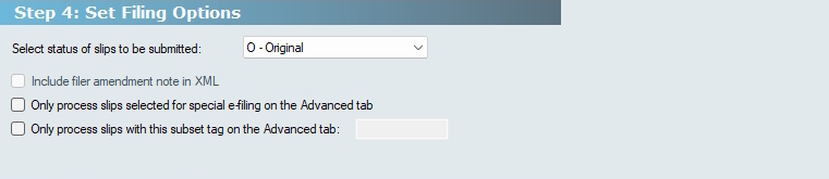 Electronic Filing - Step 4