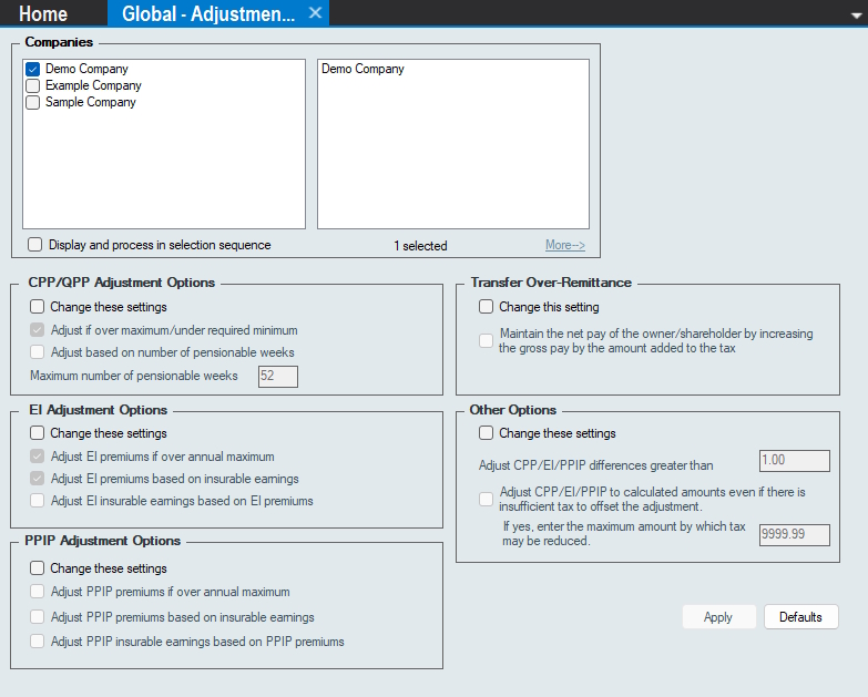 Company Setup - Adjustment Tab